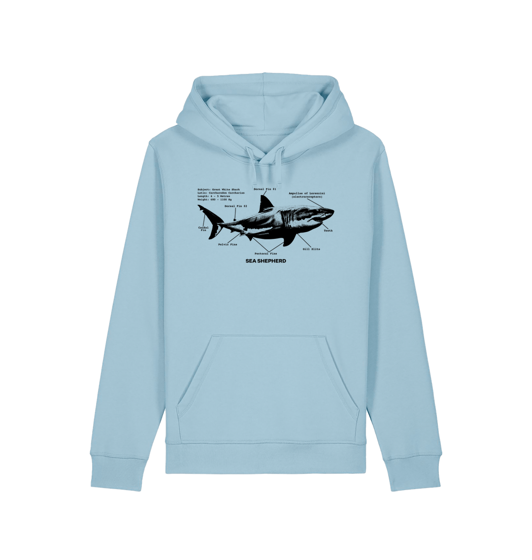 Sky Blue Printed Hoody